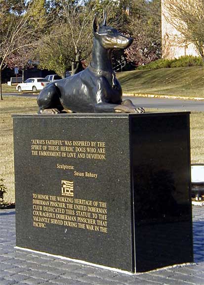 Picture of Doberman Pincher Statue honoring the breed located in front of the University of Tennessee College of Veterinary Medicine.